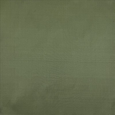 Kasmir SILK DUPIONI     GREEN           